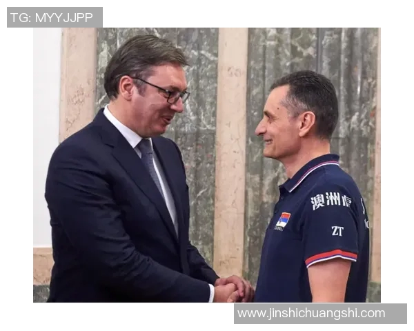 欧洲杯赛事影响力及赞助商合作分析